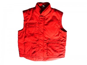 VEST